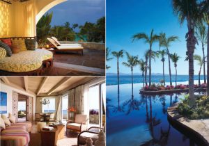 one-only_palmilla