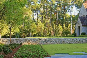woodland rain gardens