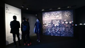 François-Bernard-Nature-Made-Maison-Et-Objet-Paris-2