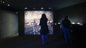 François-Bernard-Nature-Made-Maison-Et-Objet-Paris-5