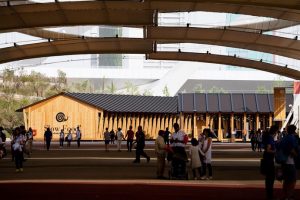 Expo-Milano-2015-Herzog-&-de-Meuron-2