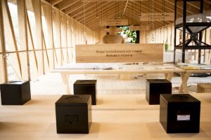 Expo-Milano-2015-Herzog-&-de-Meuron-5